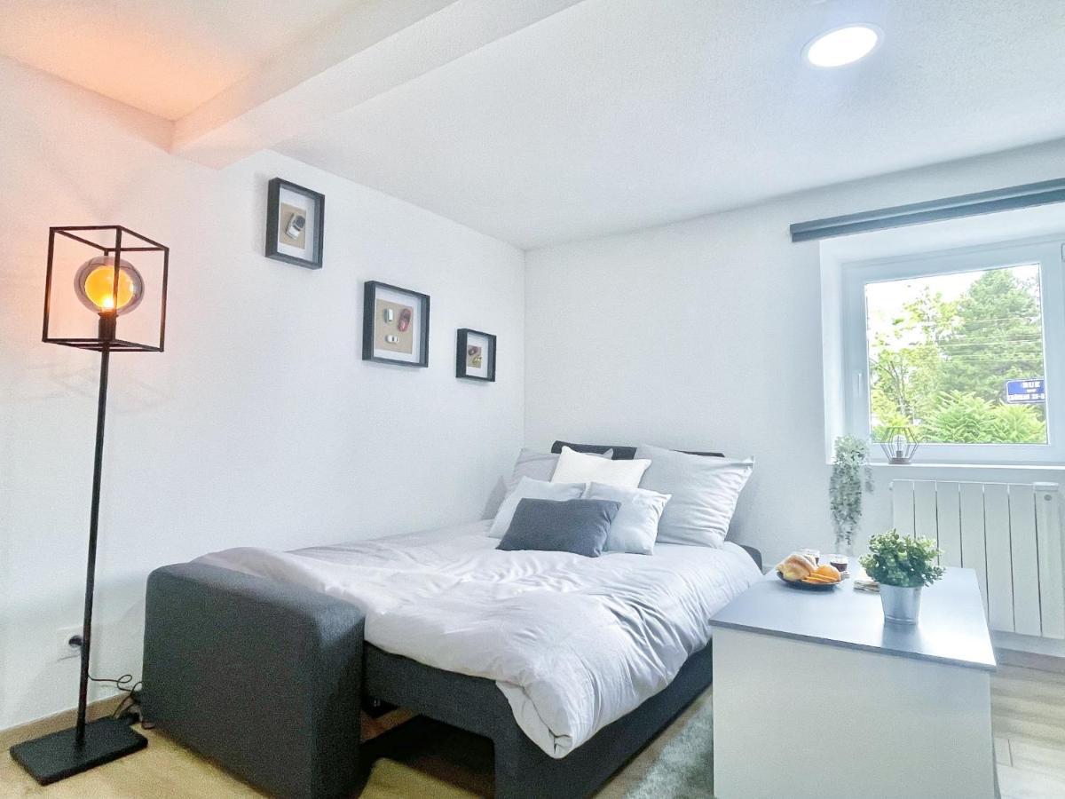 Ambiance Automobile, 100M2, Haut De Gamme Mulhouse Luaran gambar