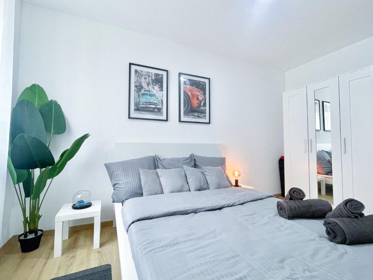 Ambiance Automobile, 100M2, Haut De Gamme Mulhouse Luaran gambar